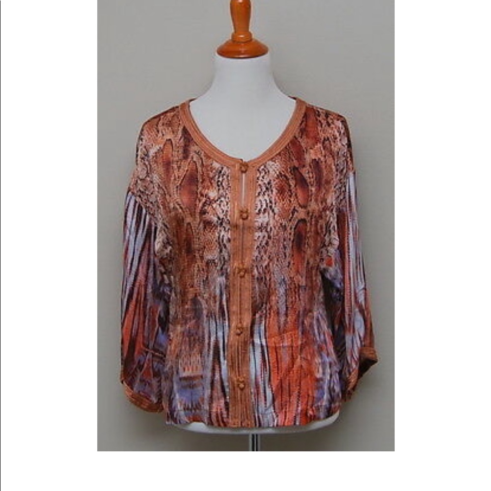 Silk Blouse Twelfth Street By Cynthia Vincent